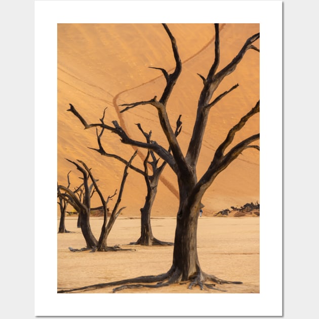 Namibia. Namib-Naukluft National Park. Deadvlei. Dead Trees. Dunes. Wall Art by vadim19